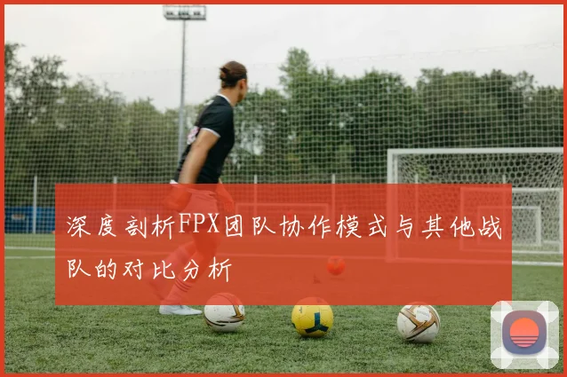 深度剖析FPX团队协作模式与其他战队的对比分析