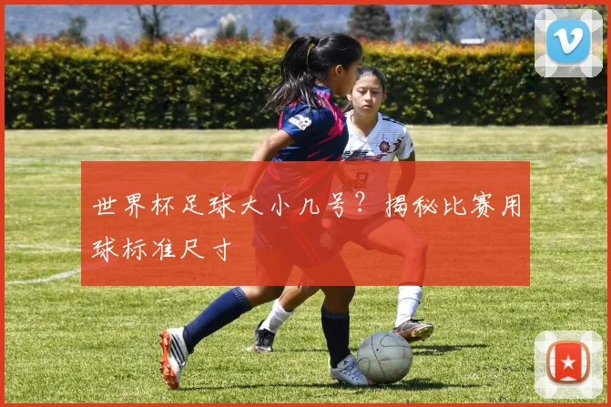 世界杯足球大小几号？揭秘比赛用球标准尺寸
