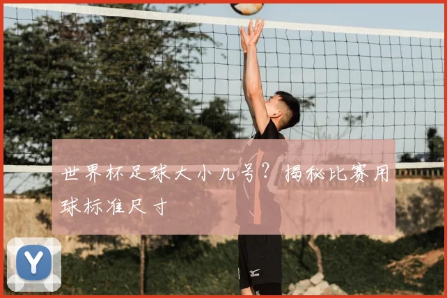 世界杯足球大小几号？揭秘比赛用球标准尺寸