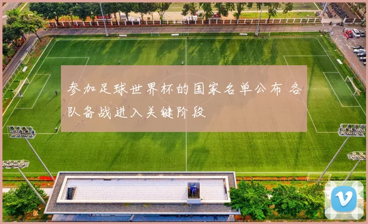 参加足球世界杯的国家名单公布 各队备战进入关键阶段