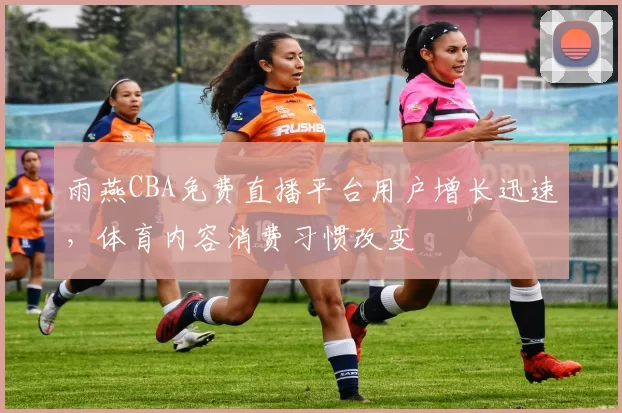 雨燕CBA免费直播平台用户增长迅速,体育内容消费习惯改变