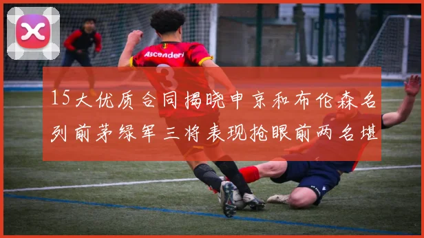 15大优质合同揭晓申京和布伦森名列前茅绿军三将表现抢眼前两名堪称传奇
