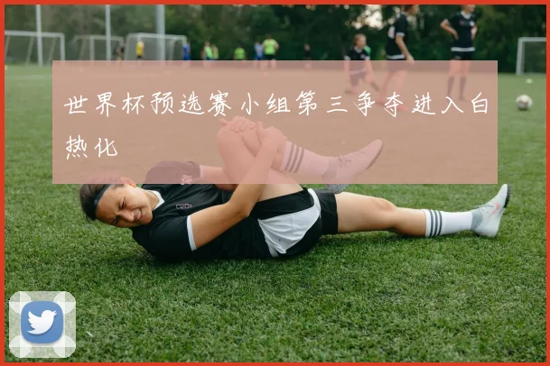 世界杯预选赛小组第三争夺进入白热化