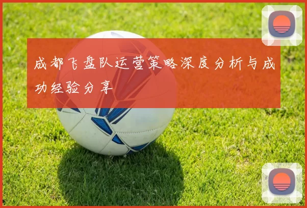 成都飞盘队运营策略深度分析与成功经验分享