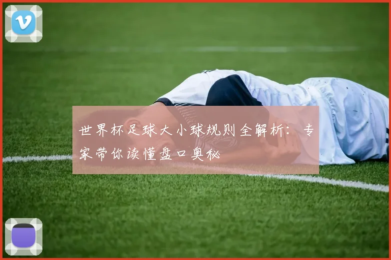 世界杯足球大小球规则全解析：专家带你读懂盘口奥秘