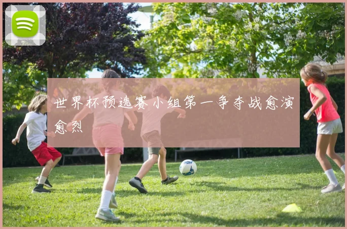 世界杯预选赛小组第一争夺战愈演愈烈